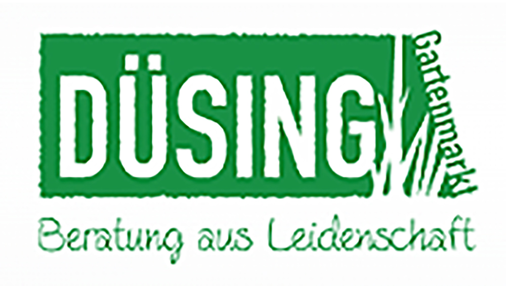 D&uuml;sing